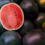 Rare  Black Diamond Watermelon Seeds Non-GMO, Organic, Heirloom B10