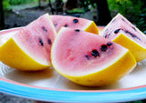 Golden Midget Watermelon Seeds Non-GMO, Organic, Heirloom B10