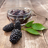 Giant Thornless Blackberry Seeds - Organic - Non-GMO B15