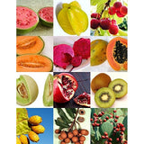 Exotic Rare Organic Tropical fruit seeds mix, organic, Non-GMO B5