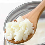 1 TABLEspoon Active Organic Live Probiotic Culture Milk Kefir Grains