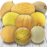 Mixed Heirloom organic Melon and Watermelon Seeds - Non-GMO, Fruit Seeds, Melon Seeds Bin#25 SURPRISE PACK