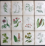 5 Original Antique Lithographs, Engravings, Chromolithographs 18th 19th Century Prints - 100% Original No Reproductions