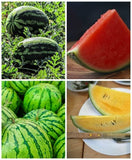 Mixed Heirloom organic  Watermelon Seeds - Non-GMO, Fruit Seeds, Seeds   SURPRISE PACK