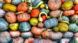 Mixed Heirloom Spooky Pumpkin and Winter Squash Mix Seeds Cucurbita pepo - Non-GMO, Fruit Seeds Bin#25