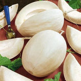 SAKATA'S SWEET MELON (Cucumis melo) Seeds Non-Gmo, Organic, Heirloom B10