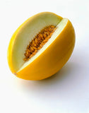 Golden Honeydew Melon (Cucumis melo) Seeds Non-GMO, Organic, Heirloom B25