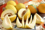 Golden Juan Canary super sweet Melon seeds Organic HEIRLOOM Non-GMO B25