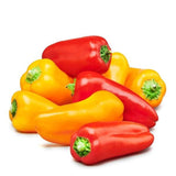 Sweet Mini Poivron Peppers, Organic, NonGMO, Heirloom B10