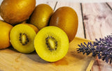 Golden Kiwi Tropical Organic Fruit Seeds,  (Actinidia chinensis) NonGMO B25
