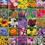 Perennial Wildflower Mixture 25+ Varieties Non-GMO Seeds Bin#100