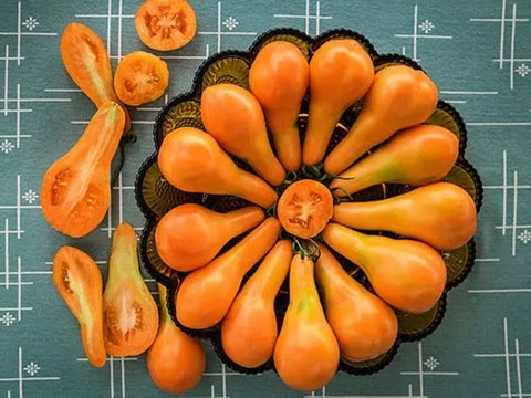 Mila Orange Pear Tomato, Organic, Heirloom, Non-GMO B5