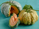 Rare Exotic Prescott Fond Blanc Melon Seeds, Tropical Fruit Seeds, Non-GMO, Organic, Heirloom B10