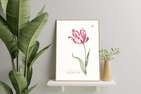 Great Tulip Book  Admirael Delphius Poster, Giclée Print -Painting by Chet Johnson Wall Art Downloadable Home Décor 8"x10"