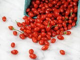 Tibetan Scarlet Goji Berry Seeds (Lycium chinense) aka (Scarlet Wolfberry) Heirloom - Non GMO - Open Pollinated - Organic - B25