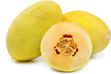 Rare Chinese Hongyun Hami Melon 哈密瓜 Large 4-5lb fruits Sweet & Crunch Non-GMO, Organic, Heirloom B10