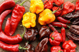 Extremely Super Hot Pepper Seeds Mix Varieties Organic, Non-GMO 15 seeds