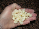 1 TABLEspoon Active Organic Live Probiotic Culture Milk Kefir Grains Fresh NOT DEHYDRATED + instructions