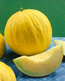 Exotic Rare Casaba - Golden Beauty Melon (Cucumis melo) Seeds Non-GMO, Organic, Heirloom B10