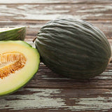 Exotic Rare Early Valencia Honeydew Melon (Cucumis melo) Seeds Non-GMO, Organic, Heirloom B10