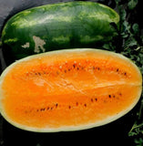 Tendersweet Orange Watermelon Seeds,  Non-GMO, Organic, Heirloom, Open air Pollinated B25