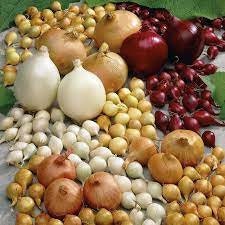 ONION ASSORTMENT Mix Seeds Colors Mix Onion Sets (No Bulbs) | Yellow, Red, White Sweet Onions Set For Growing Gardening Non-GMO Organic B25