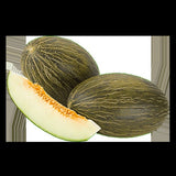 Piel de Sapo Melon (Cucumis melo) Seeds Non-GMO, Organic, Heirloom B25