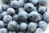 Northern Highbush Blueberry Seeds Organic Fruit B25