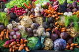 Mixed Cool Fall Season Vegetable Garden Seed Collection Varieties Organic Heirloom Non-GMO Seeds Bin#250