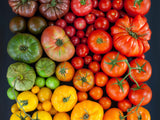 Mixed Tomato Seeds Random Varieties Collection Non-GMO Heirloom Organic B25