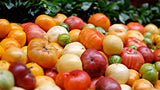 Mixed Tomato Seeds Random Varieties Collection Non-GMO Heirloom Organic B25