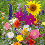 FEED and SAVE the BEES - Pollinator Fragrant Annual Perennial flower Seeds Mix  - Attracts Bird, Butterflies, wild bees, honey bees #100