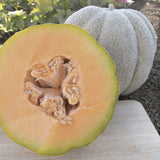 Exotic Rare Iroquois Muskmelon Melon (Cucumis melo) Seeds Non-GMO, Organic, Heirloom B10