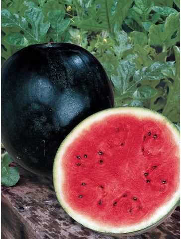 Rare  Sugar Baby Watermelon Seeds Non-GMO, Organic, Heirloom B10