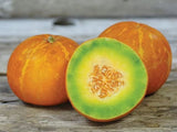 Rare Exotic Thai Golden Round (Cucumis melo) Seeds, Tropical Fruit Seeds, Non-GMO, Organic, Heirloom B10
