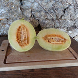Branco Do Ribatejo Melon (Cucumis melo) Seeds Non-GMO, Organic, Heirloom B25