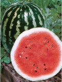 Crimson Sweet Watermelon Seeds Non-GMO, Organic, Heirloom B25