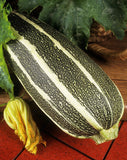 Organic Ornamental Gourds Fancy Mixed seeds , Non-GMO B25