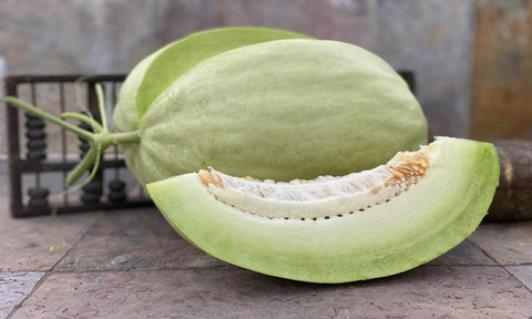 White Lanzhou Melon (Cucumis melo) Seeds Non-GMO, Organic, Heirloom B10