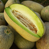 Bateekh Samara Honeydew Melon (Cucumis melo) Seeds Non-GMO, Organic, Heirloom B10