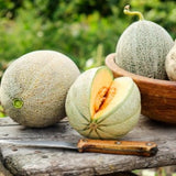 Cantaloupe Honey Rock Melon (Cucumis melo) Seeds Non-GMO, Organic, Heirloom B25