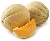 Cantaloupe Honey Rock Melon (Cucumis melo) Seeds Non-GMO, Organic, Heirloom B25