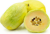 Crenshaw Melon (Cucumis melo) Seeds Non-GMO, Organic, Heirloom B25