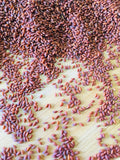 Organic Garden Cress Seeds, Lepidium Sativum Herbal Seed All Non-GMO B250