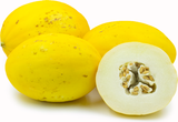 Juan Canary Melon seeds HEIRLOOM Non-GMO B25