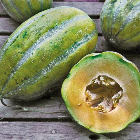 Rare Exotic bidwell casaba Melon Seeds, Tropical Fruit Seeds, Non-GMO, Organic, Heirloom B10