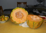 Rare Exotic bidwell casaba Melon Seeds, Tropical Fruit Seeds, Non-GMO, Organic, Heirloom B10