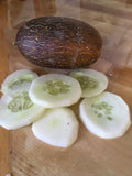 Brown Russian Cucumber Seeds Non-GMO, Organic, Heirloom B25