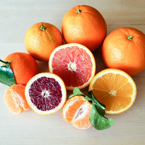 Mixed Citrus Fruits Seeds, Organic, Tropical Fruit Seeds non-GMO B5