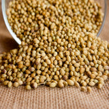 Organic Coriander (Cilantro) Herb Aromatic Seeds for Planting and Cooking B100